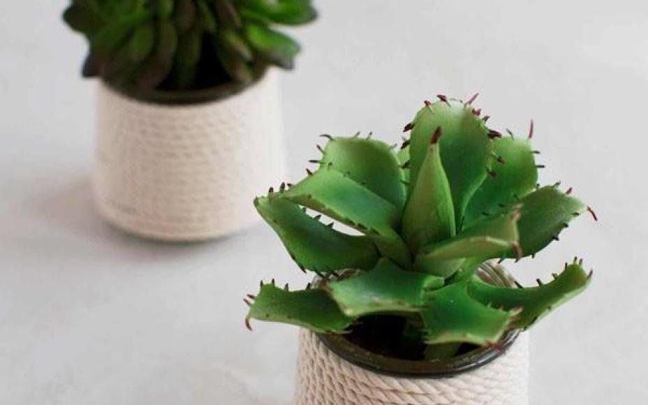 4 cách tái chế lọ thủy tinh làm chậu trồng cây đơn giản mà đẹp