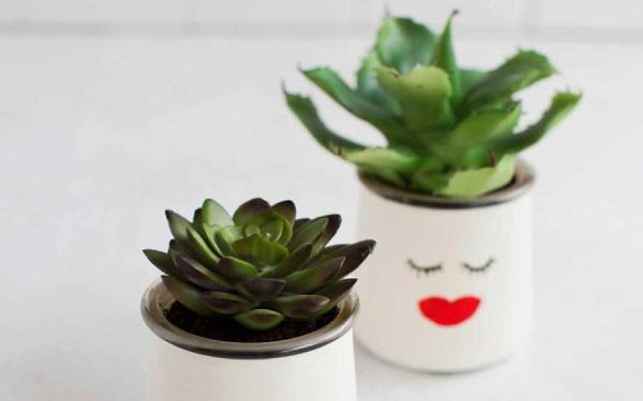 4 cách tái chế lọ thủy tinh làm chậu trồng cây đơn giản mà đẹp