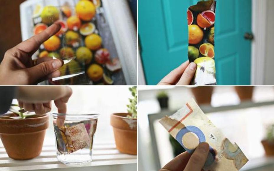 4 cách tái chế lọ thủy tinh làm chậu trồng cây đơn giản mà đẹp