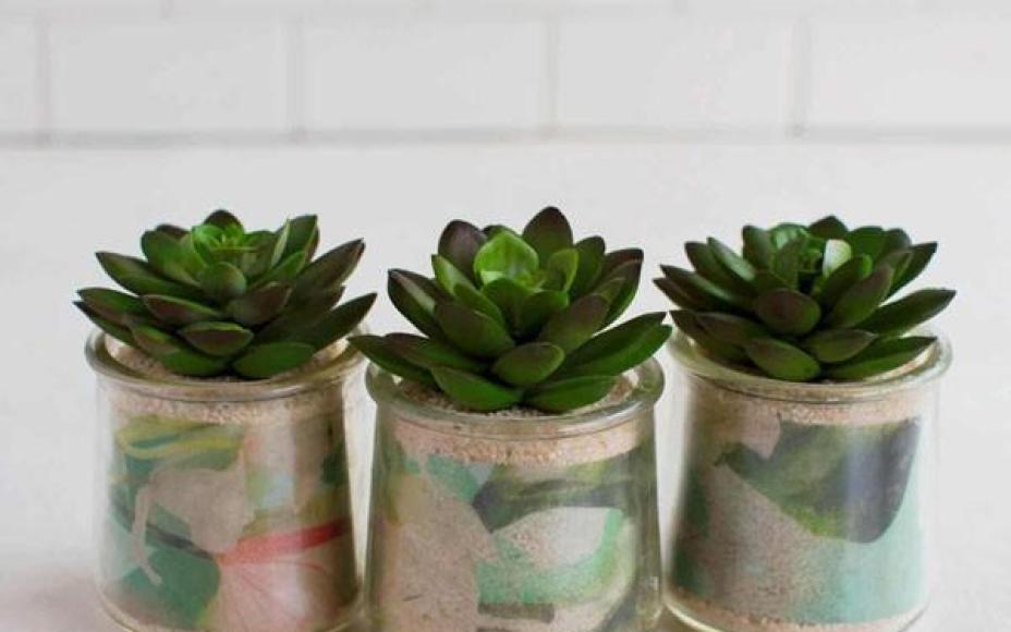 4 cách tái chế lọ thủy tinh làm chậu trồng cây đơn giản mà đẹp