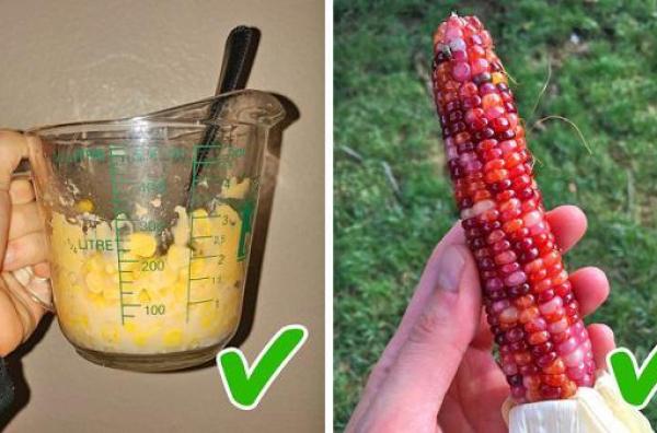 5 loại thực phẩm đông lạnh tuyệt đối chị em không nên mua khi đi siêu thị