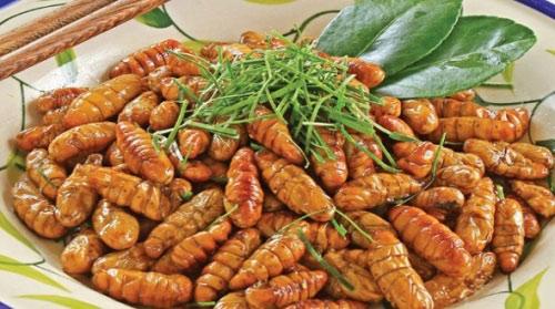 5 lưu ý khi ăn nhộng tằm để không ngộ độc