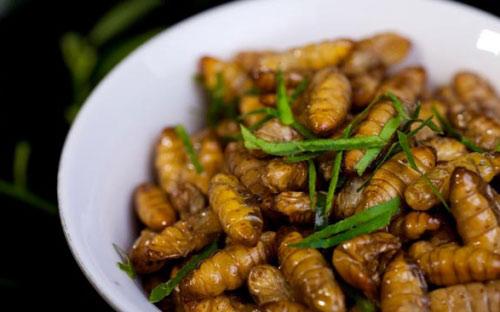 5 lưu ý khi ăn nhộng tằm để không ngộ độc