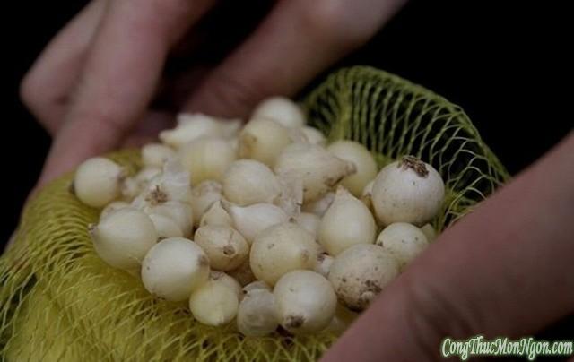 5 món cháo nổi tiếng của Việt Nam
