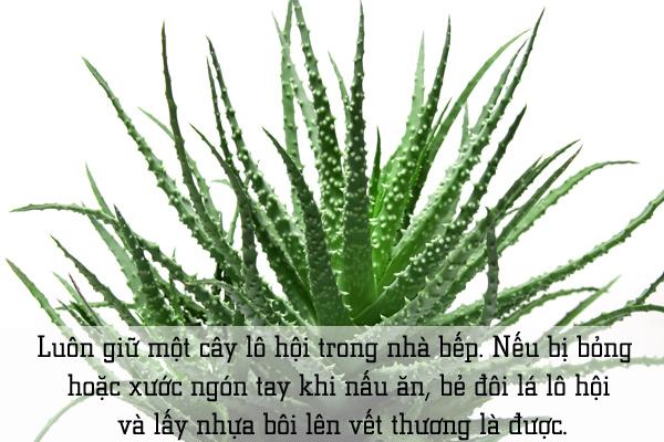 8 mẹo hay chị em nội trợ cần thuộc lòng