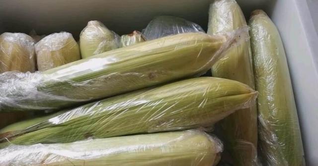 Ăn ngô 30 năm giờ mới biết cách bảo quản ngô như thế nào để cả năm không hỏng