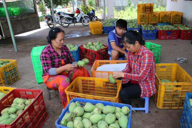 Bất ngờ 6 món ăn, thức uống của Đồng Tháp lọt vào top 100 đặc sản Việt Nam