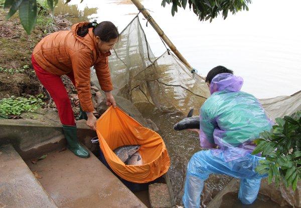 Bí mật 10 loại gia vị có trong nồi cá kho làng Vũ Đại