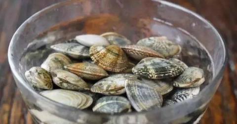 Bí quyết sơ chế ngao sạch boong kin kít: Chỉ với 2 thao tác đơn giản, ngao sẽ nhả sạch cát để chị em muốn nấu kiểu gì cũng được!