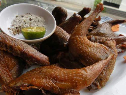 Bồ câu đã đời không thua vịt trời
