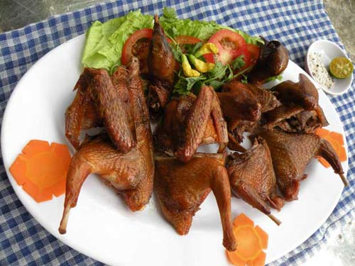 Bồ câu đã đời không thua vịt trời