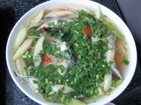 ca bop ma nau canh chua Cá bớp mà nấu canh chua