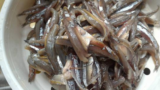 Cá cơm kho ăn với cơm nóng đến cạn nồi