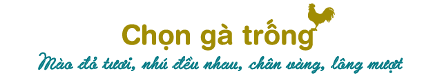 Cách chọn gà ngon và đẹp mắt để cúng ông Công ông Táo