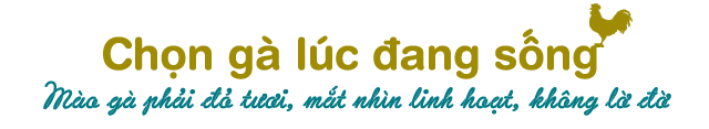 Cách chọn gà ngon và đẹp mắt để cúng ông Công ông Táo