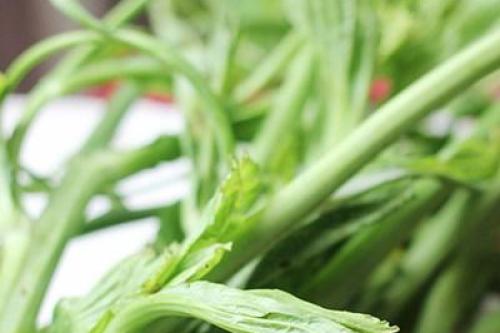 Cách làm món ngồng cải xào tỏi thơm giòn, ngon miệng và đẹp mắt