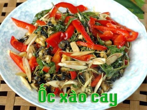 cach lam mon oc xao cay nong hoi dam da tuyet ngon Cách làm món ốc xào cay nóng hổi đậm đà tuyệt ngon