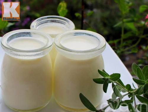 Cách làm sữa chua không đường đơn giản mà ngon