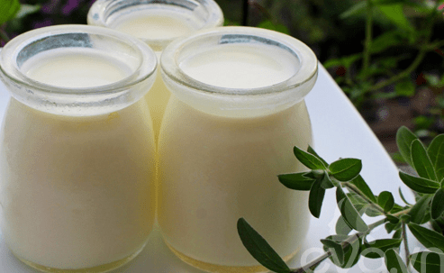 Cách làm sữa chua không đường đơn giản mà ngon