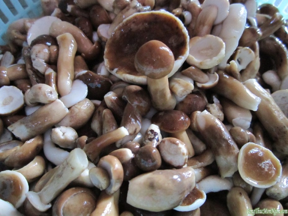 Cách nấu canh nấm tràm Phú Quốc