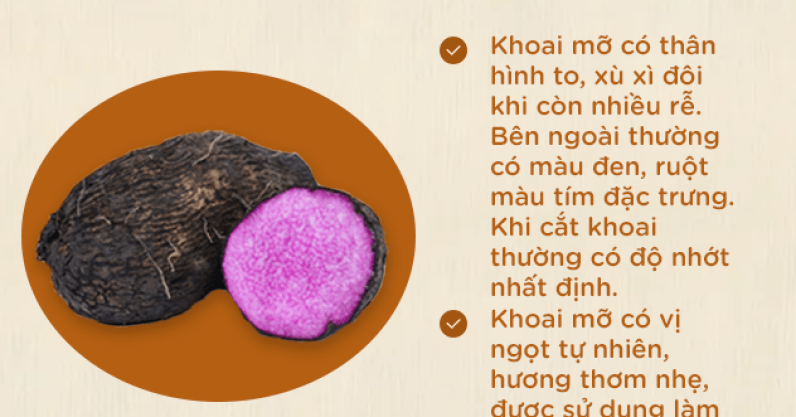 Cẩm nang cho gái vụng: Phân biệt được 12 loại khoai này là đủ tiêu chuẩn đi lấy chồng các chị em nhé!