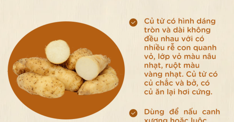 Cẩm nang cho gái vụng: Phân biệt được 12 loại khoai này là đủ tiêu chuẩn đi lấy chồng các chị em nhé!