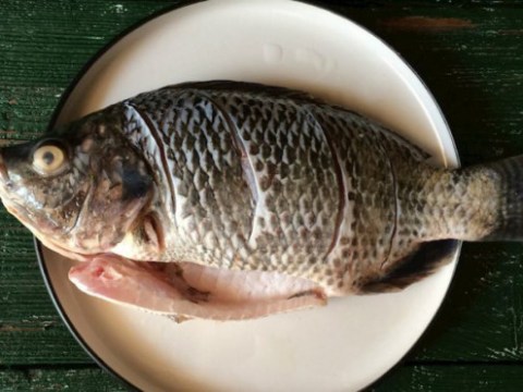 canh ca nau chua lam the nao de an khong nat khong tanh Canh cá nấu chua làm thế nào để ăn không nát, không tanh?