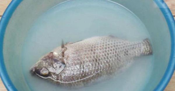 Canh cá nấu chua mùa hè là nhất nhưng làm thế nào để ăn không nát, không tanh thì không phải ai cũng biết