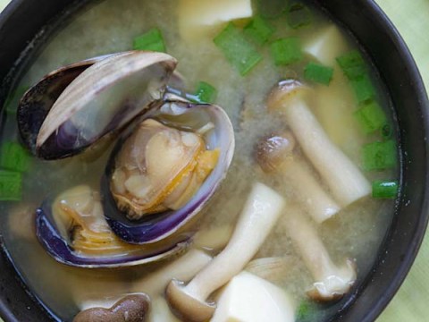 canh miso nau ngao va nam dau Canh miso nấu ngao và nấm đậu