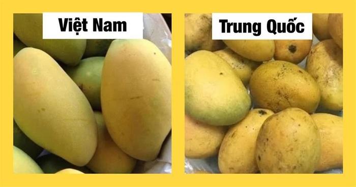 Chỉ cần dùng mắt thường nhìn ra ngay quả Trung Quốc 'đội lốt', chị em thông thái xem ngay