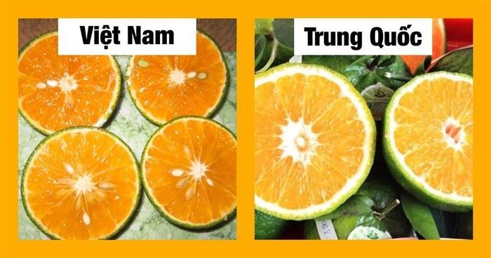 Chỉ cần dùng mắt thường nhìn ra ngay quả Trung Quốc 'đội lốt', chị em thông thái xem ngay