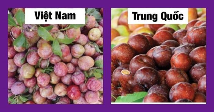 Chỉ cần dùng mắt thường nhìn ra ngay quả Trung Quốc 'đội lốt', chị em thông thái xem ngay