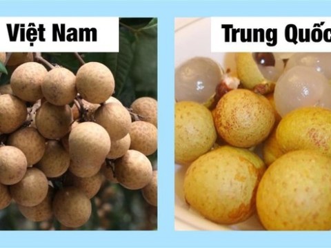 chi can dung mat thuong nhin ra ngay qua trung quoc doi lot chi em thong thai xem ngay Chỉ cần dùng mắt thường nhìn ra ngay quả Trung Quốc 'đội lốt', chị em thông thái xem ngay