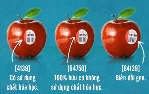 chi em phu nu buoc phai biet dieu nay khi mua trai cay nhap khau Chị em phụ nữ buộc phải biết điều này khi mua trái cây nhập khẩu