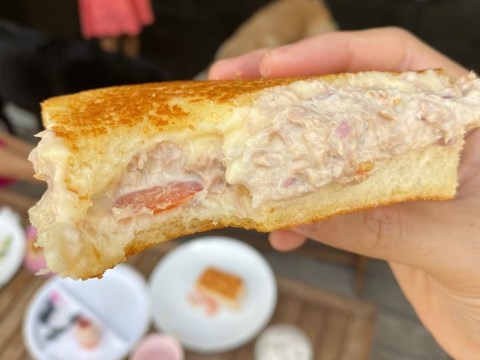 chong con me sandwich ca ngu nong chay cua tang thanh ha Chồng con mê sandwich cá ngừ nóng chảy của Tăng Thanh Hà