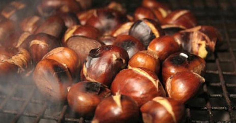 Có một loại hạt được coi là 