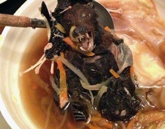 Đặc sản súp dơi ngon nức tiếng nhưng liệu mấy ai dám ăn thử món này