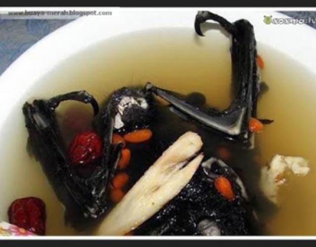 Đặc sản súp dơi ngon nức tiếng nhưng liệu mấy ai dám ăn thử món này