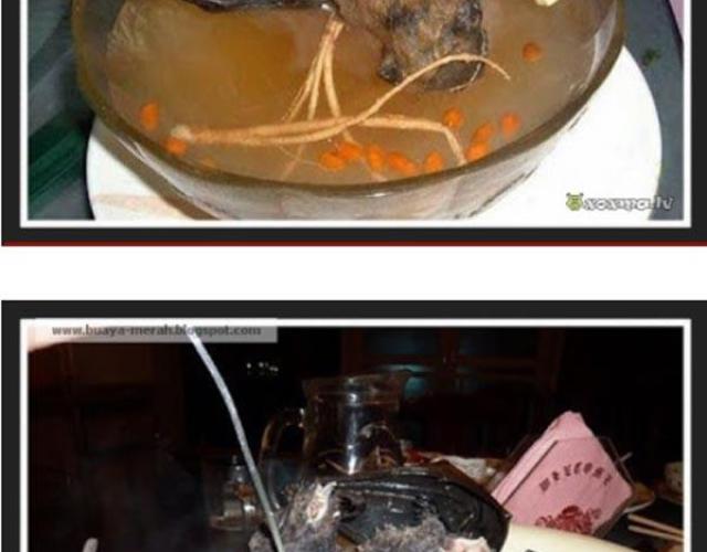 Đặc sản súp dơi ngon nức tiếng nhưng liệu mấy ai dám ăn thử món này