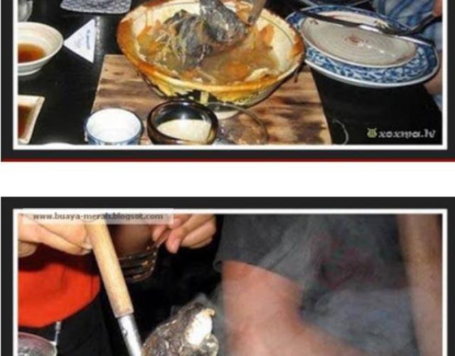 Đặc sản súp dơi ngon nức tiếng nhưng liệu mấy ai dám ăn thử món này