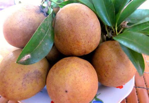 Đậm đà hồng xiêm Xuân Đỉnh