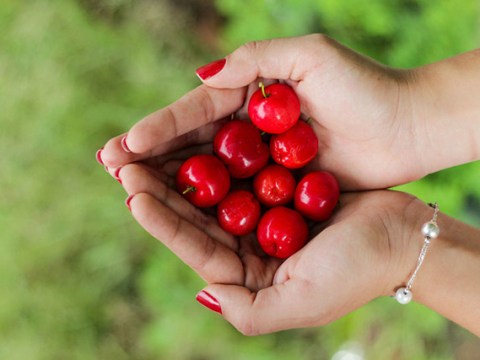 dung co bat chap an nhung mon nay co ngay phai tra gia bang ca tinh mang Đừng cố bất chấp ăn những món này, có ngày phải trả giá bằng cả tính mạng