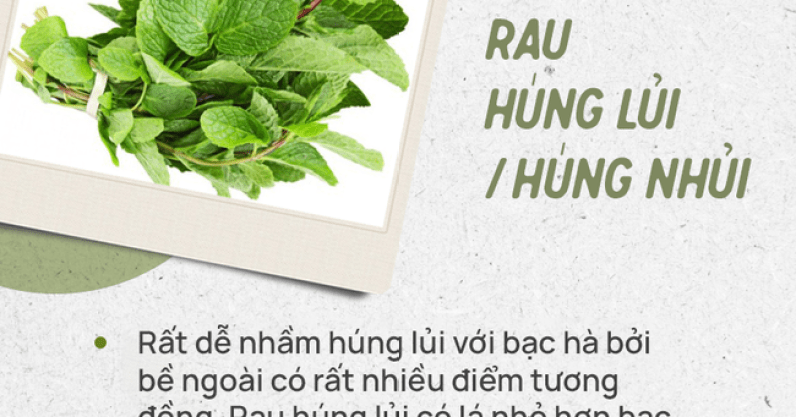 Đừng tự nhận mình là gái đảm nếu chưa phân biệt được các loại rau thơm này hội chị em nhé!