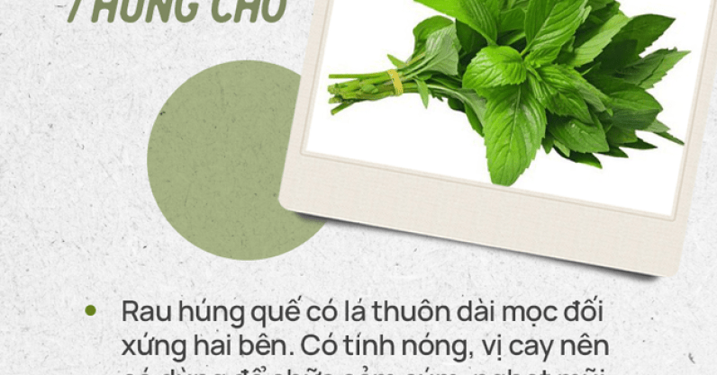 Đừng tự nhận mình là gái đảm nếu chưa phân biệt được các loại rau thơm này hội chị em nhé!