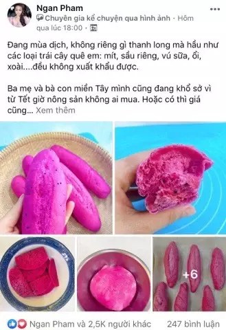 Giải cứu thanh long - làm ngay bánh mì thanh long với công thức cực hot từ cô Ba miền Tây!
