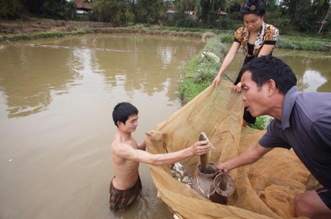 Gỏi cá đãi khách quý của người Thái ở Điện Biên