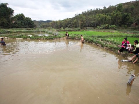 goi ca dai khach quy cua nguoi thai o dien bien Gỏi cá đãi khách quý của người Thái ở Điện Biên