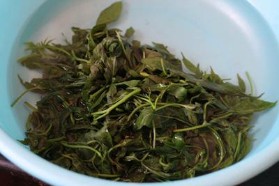 Gỏi rau lang thịt bò - món mới nhiều người thích