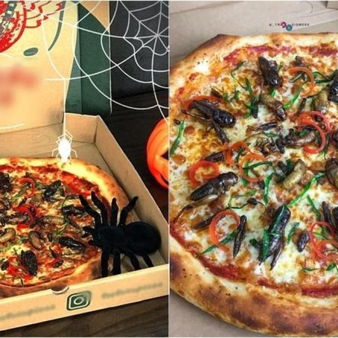 Hà Nội xuất hiện món pizza có topping châu chấu, ve sầu, dế mèn nhìn mà hốt