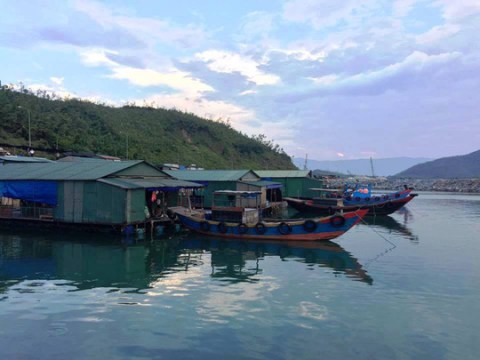 ha tinh niu chan du khach mua muc nhay Hà Tĩnh níu chân du khách mùa 'mực nhảy'